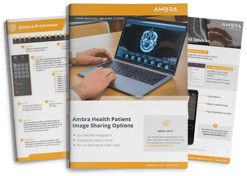 Ambra Product Guides